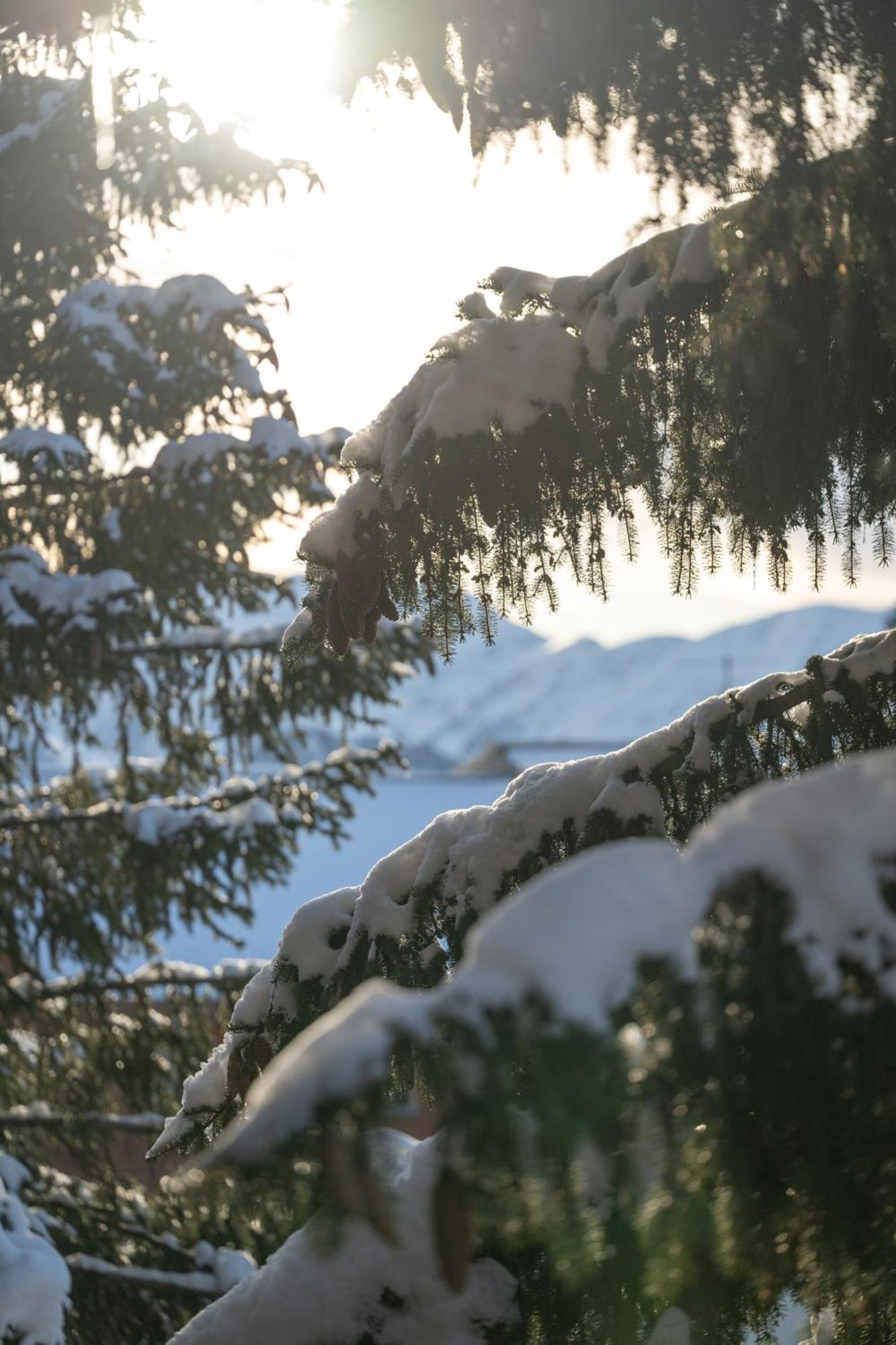 Chalet Alpe D'Huez 1850-Sea And Mountain Pleasure Avec 2 Appartements- 1 Appartement 3 Chambres 8 Couchages - 3 Salles D'Eau Et 1 Appartement 5 Chambres 12 Couchages 5 Salles D'Eau - Jacuzzi Et Sauna -Pieds Des Pistes Et Centre Ngoại thất bức ảnh